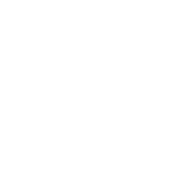 Vision Icon