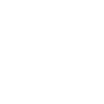 Mission Icon