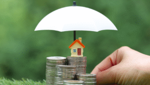 Invest in Wallfort’s best project